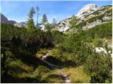 end of road on Pokljuka - Koča na Doliču